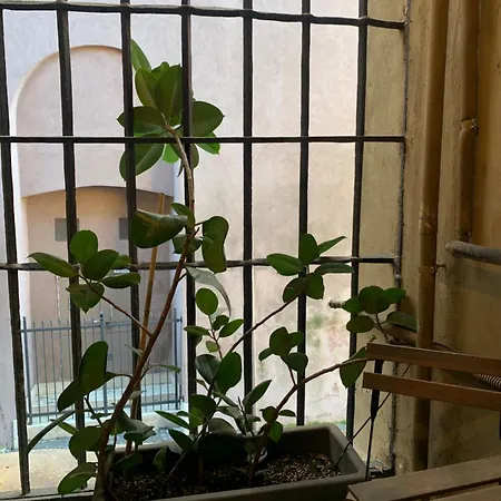 Casacau Apartman